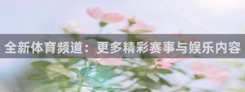 全新体育频道：更多精彩赛事与娱乐内容