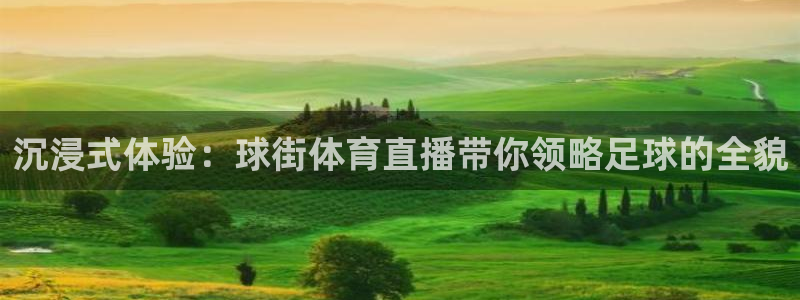沉浸式体验：球街体育直播带你领略足球的全貌