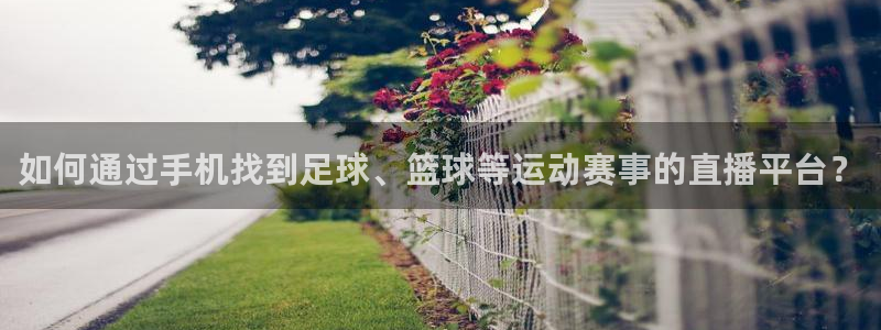 如何通过手机找到足球、篮球等运动赛事的直播平台？