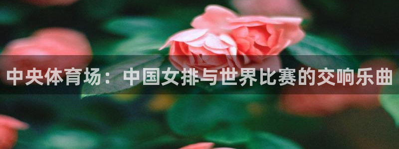中央体育场：中国女排与世界比赛的交响乐曲