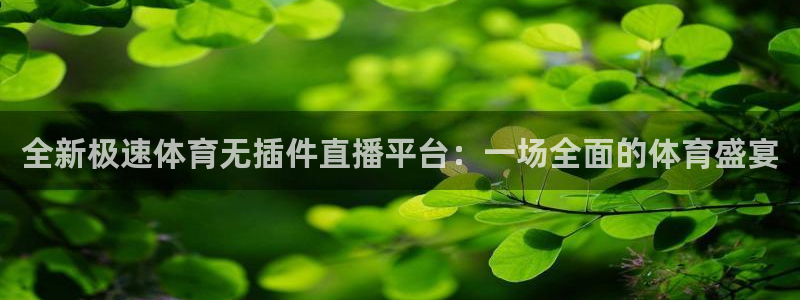 全新极速体育无插件直播平台：一场全面的体育盛宴