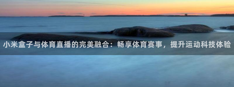 小米盒子与体育直播的完美融合：畅享体育赛事，提升运动科技体验