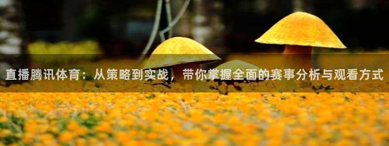 直播腾讯体育：从策略到实战，带你掌握全面的赛事分析与观看方式