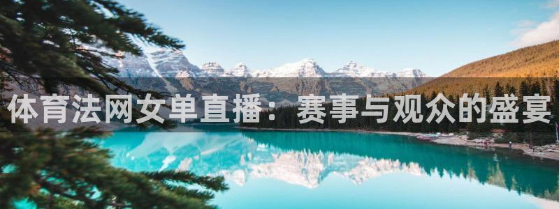体育法网女单直播：赛事与观众的盛宴