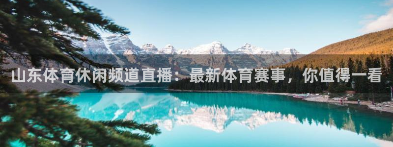 山东体育休闲频道直播：最新体育赛事，你值得一看