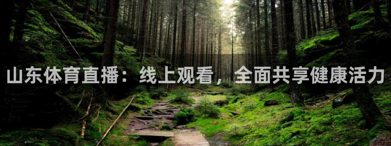 山东体育直播：线上观看，全面共享健康活力