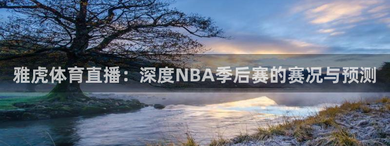 雅虎体育直播：深度NBA季后赛的赛况与预测