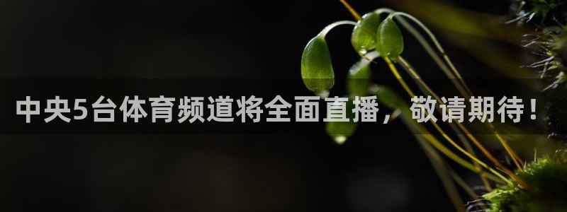 中央5台体育频道将全面直播，敬请期待！