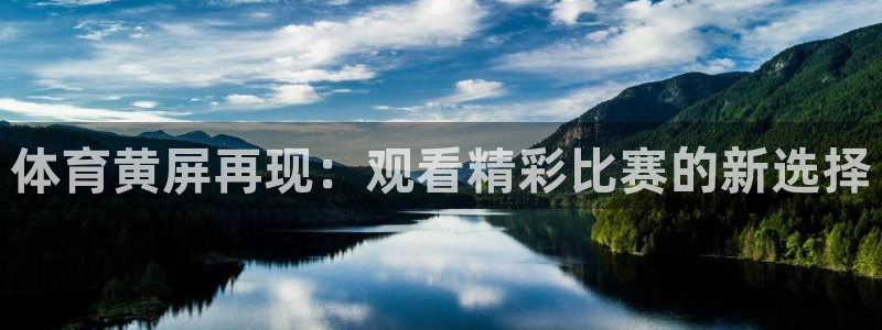 体育黄屏再现：观看精彩比赛的新选择