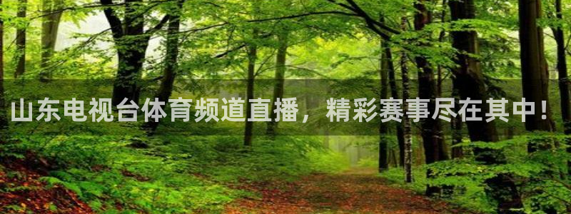 山东电视台体育频道直播，精彩赛事尽在其中！