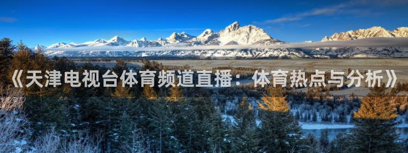 《天津电视台体育频道直播：体育热点与分析》