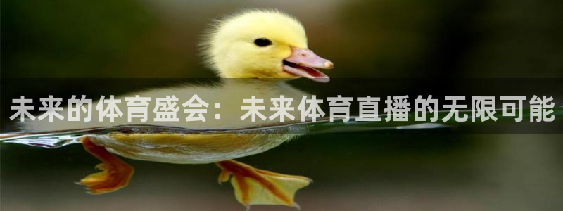 未来的体育盛会：未来体育直播的无限可能