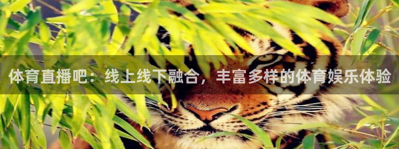 体育直播吧：线上线下融合，丰富多样的体育娱乐体验