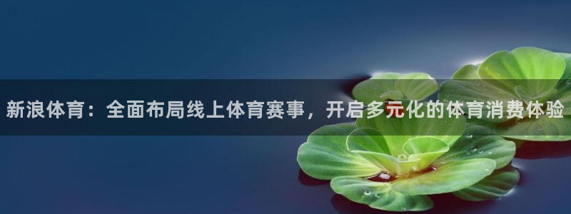 新浪体育：全面布局线上体育赛事，开启多元化的体育消费体验