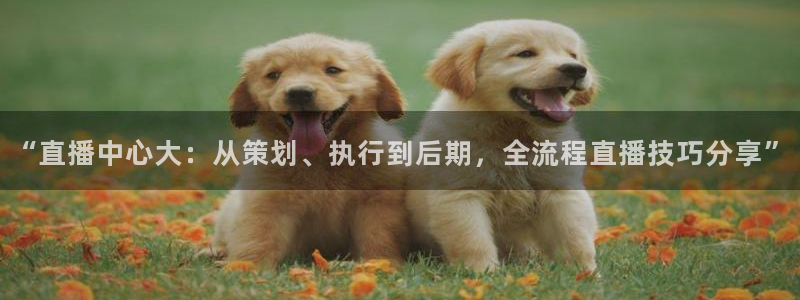“直播中心大：从策划、执行到后期，全流程直播技巧分享”