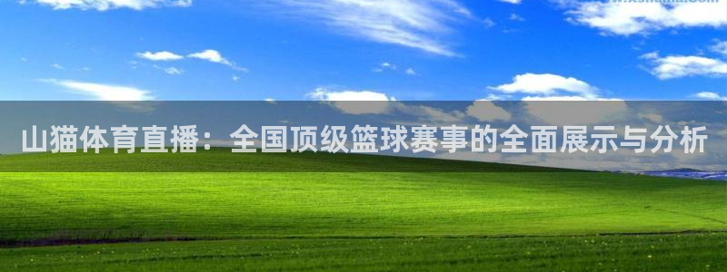 山猫体育直播：全国顶级篮球赛事的全面展示与分析