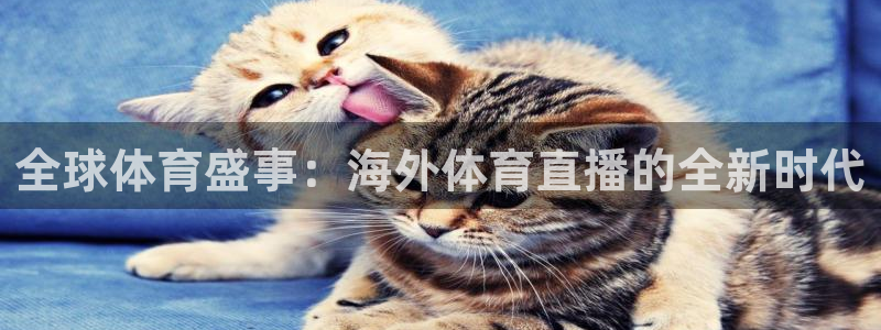 全球体育盛事：海外体育直播的全新时代