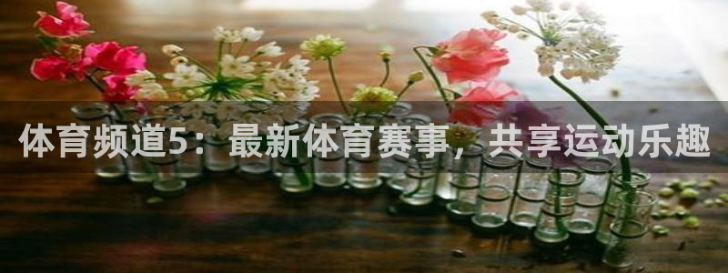 体育频道5：最新体育赛事，共享运动乐趣