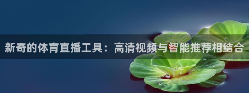 新奇的体育直播工具：高清视频与智能推荐相结合