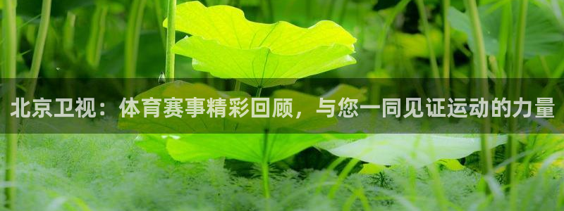 北京卫视：体育赛事精彩回顾，与您一同见证运动的力量