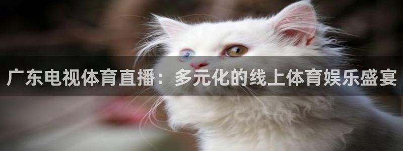 广东电视体育直播：多元化的线上体育娱乐盛宴