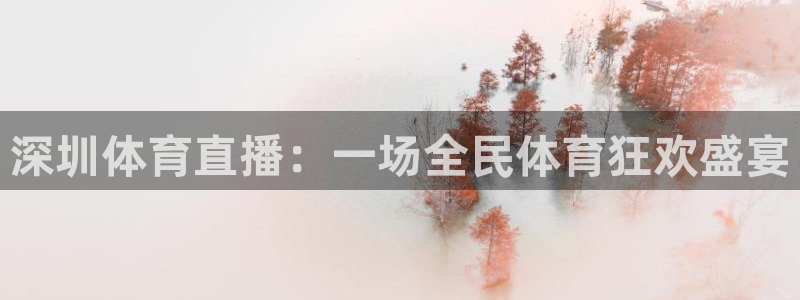 深圳体育直播：一场全民体育狂欢盛宴