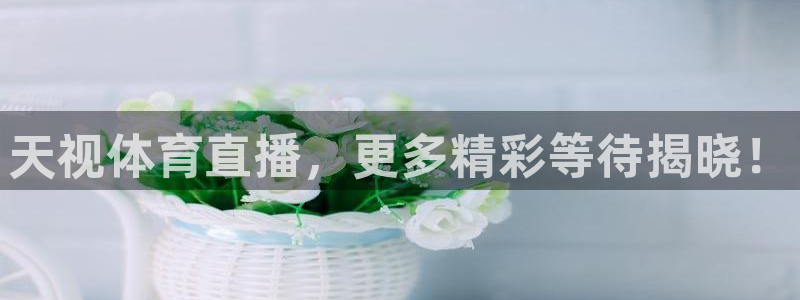 天视体育直播，更多精彩等待揭晓！