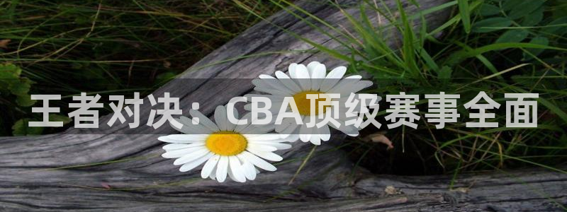 王者对决：CBA顶级赛事全面