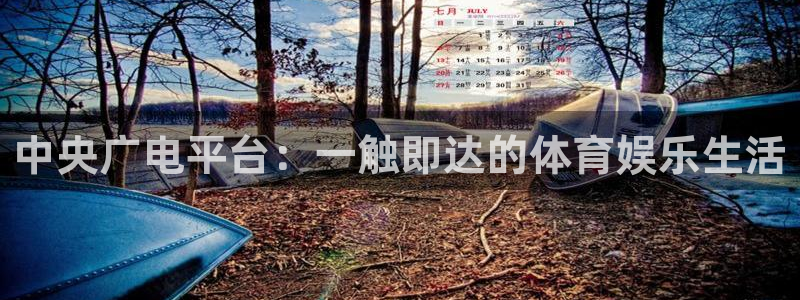 中央广电平台：一触即达的体育娱乐生活